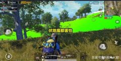 和平精英卡bug开挂怎么办（和平精英卡bug的常见类型）