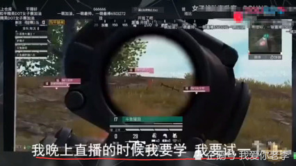 和平精英开挂主播视角怎么调
