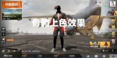 和平精英怎么隐身并不用开挂（和平精英隐身技巧的开发者态度）