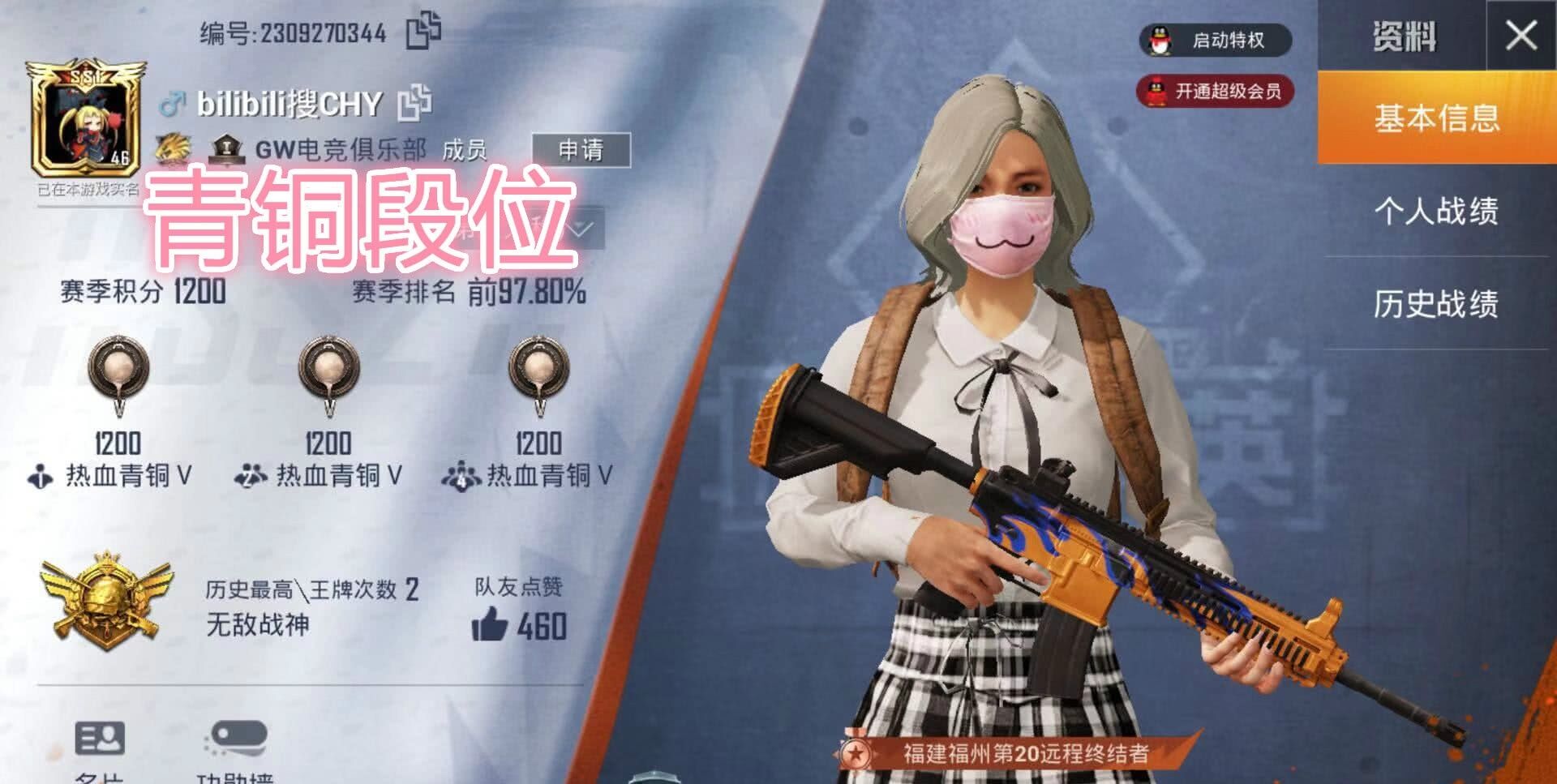 和平精英怎么在主页挂联系方式