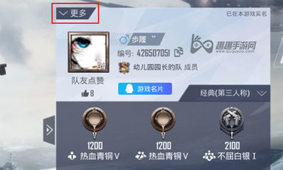 和平精英开挂隐藏编号怎么设置