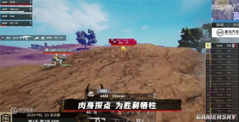 和平精英怎么看队友是不是辅助