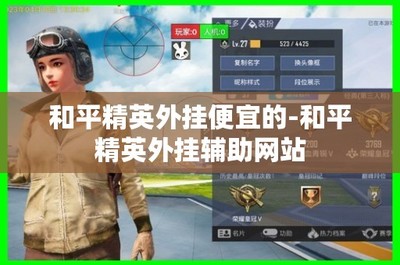 和平精英军师打辅助怎么样