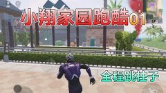 和平精英家园的花怎么挂柱子上（和平精英家园挂柱子的技巧）