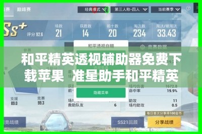 准星辅助器 和平精英 怎么设置