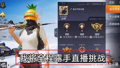 和平精英开挂界面展示怎么设置（和平精英画面设置优化技巧）
