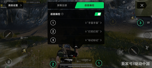 和平精英开挂音语音怎么设置