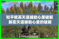 和平精英ez辅助怎么样（和平精英EZ辅助的风险评估）