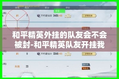 和平精英开挂调查怎么打开（和平精英开挂的法律责任）