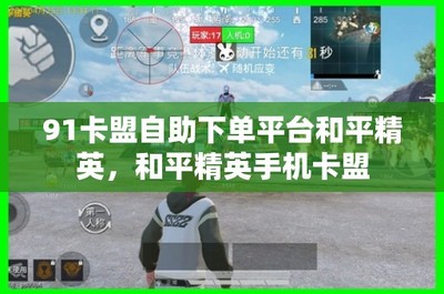 和平精英怎么启动辅助模式