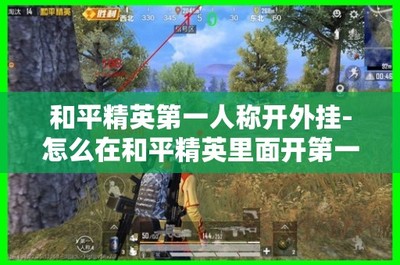 和平精英 怎么买挂