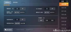 和平精英怎么增加辅助（和平精英辅助）