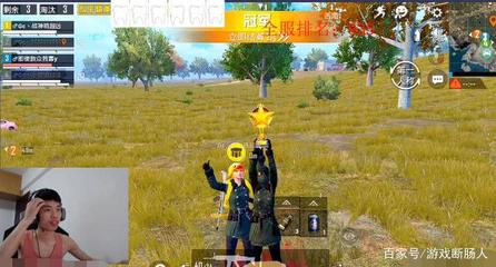 和平精英开挂王是谁呢怎么玩