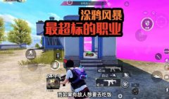 和平精英挂件怎么开挂（和平精英挂件开挂的后果）