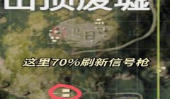 和平精英怎么在上面挂两把枪（和平精英怎么拿枪展示）
