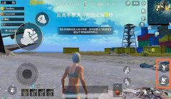 和平精英国际版怎么开挂（和平精英国际版开挂后果和处罚）