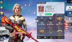 和平精英cp怎么挂主页（和平精英CP主页设计灵感）
