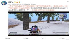 和平精英怎么挂盒子上（和平精英违规挂件有哪些）