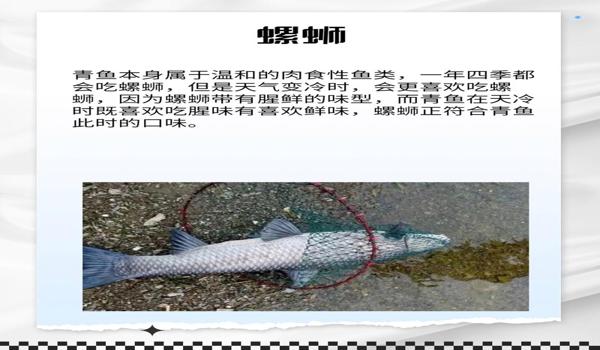 和平精英恐龙狂浪辅助怎么用（恐龙狂浪辅助的最新版本特性）
