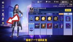 和平精英怎么挂情侣牌子（和平精英情侣牌子隐藏技巧）