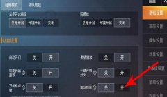 和平精英怎么开启透视挂（和平精英透视挂的原理）