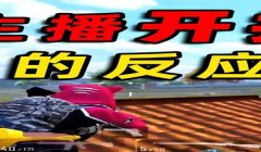 和平精英十楼怎么开挂的（如何举报和平精英开挂行为）