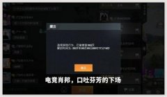 和平精英提示开挂怎么办（和平精英开挂行为的影响）