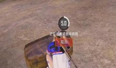 x.x.s辅助怎么进和平精英（和平精英辅助的合法使用方法）