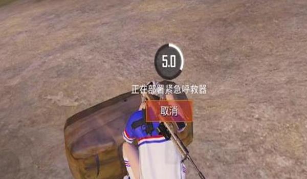 x.x.s辅助怎么进和平精英（和平精英辅助的合法使用方法）