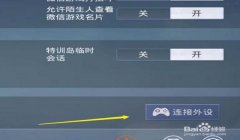 和平精英开始开挂语音怎么设置（和平精英语音设置常见问题）