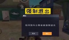 和平精英 比赛 开挂怎么开（和平精英比赛开挂的法律责任）