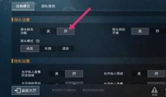 和平精英怎么设置辅助（和平精英怎么开辅助）
