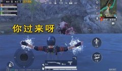 和平精英开挂隐身是怎么做到的（和平精英隐身模式的社交影响）