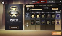 和平精英名字挂怎么没人用（和平精英名字挂的解决方案）