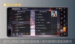 和平精英挂窗帘怎么弄（和平精英挂窗帘的战术运用）