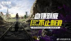 和平精英怎么找到不开挂的打手（和平精英公平竞技的重要性）