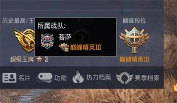 和平精英名片怎么挂人意思（和平精英名片设计技巧）