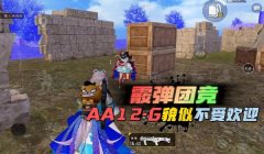和平精英开挂老外团竞怎么玩（和平精英团竞模式的魅力何在）