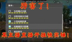 和平精英开挂造房子怎么弄（和平精英开挂后果案例分析）