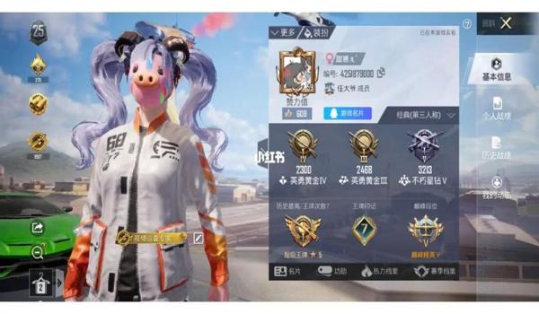 和平精英怎么挂id（和平精英挂ID后的紧急处理办法）