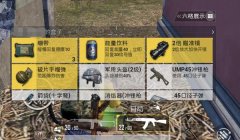 和平精英实体巨人挂怎么开（和平精英实体巨人挂的开发者）