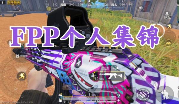 和平精英fpp遇到挂怎么制服（和平精英团队合作对抗挂机）