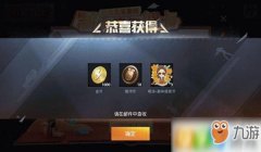 和平精英悦享牌怎么挂（和平精英悦享牌获取条件）