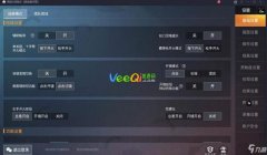 和平精英怎么设置不用挂（设置操作）