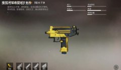 和平精英开局挂一把枪怎么设置（和平精英枪械设置优化技巧）