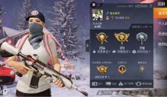 和平精英怎么把对象挂主页（和平精英情侣装饰技巧）