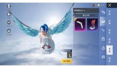和平精英挂祈福牌怎么弄（和平精英祈福牌挂法指南）