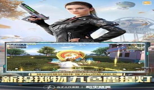 和平精英国际服该怎么开挂（和平精英国际服开挂的法律风险）