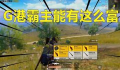 和平精英小霸辅助怎么用（和平精英小霸辅助使用中的常见问题）
