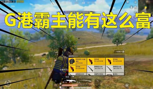 和平精英小霸辅助怎么用（和平精英小霸辅助使用中的常见问题）